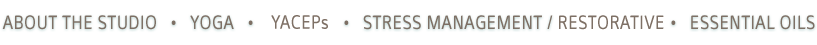 YOGA | PILATES | STRESS MANAGEMENT | RELAXATION | YOGA THERAPY | RESTORATIVE YOGA